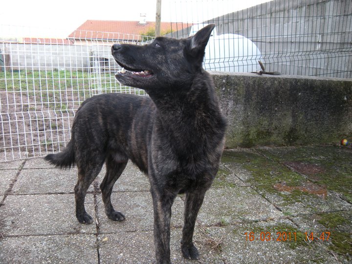 Cash du domaine des Sphinx Noirs